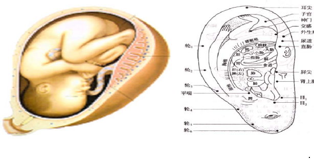 9807d13fd1394c00ba6e8e984343d502.png