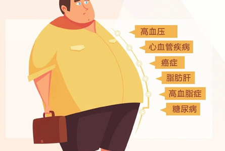 【体重管理】喊你来减肥，一年了你的体重减了吗？